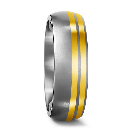 Bague Titane, Or jaune 18K