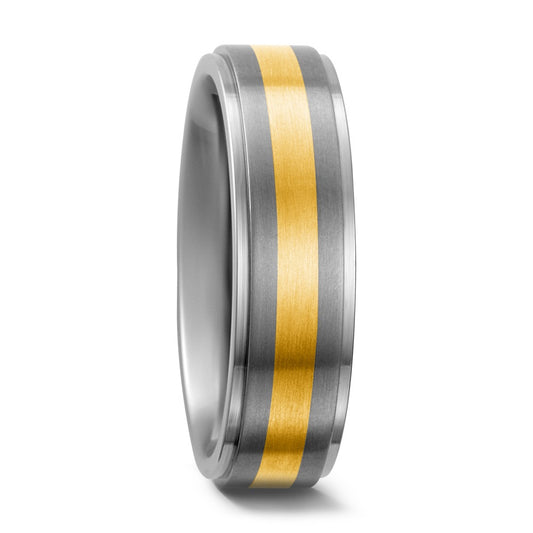 Bague Titane, Or jaune 18K