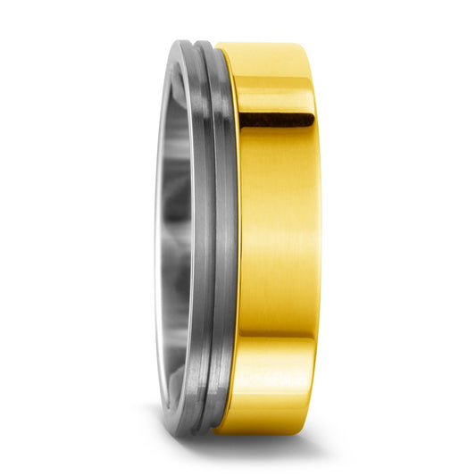 Bague Titane, Or jaune 18K