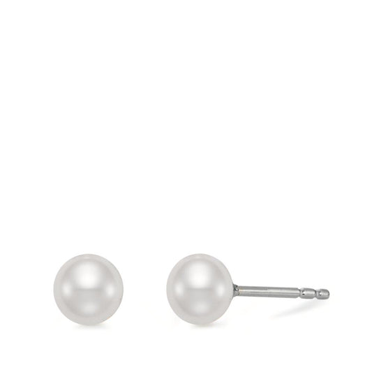 Clous d'oreilles Argent