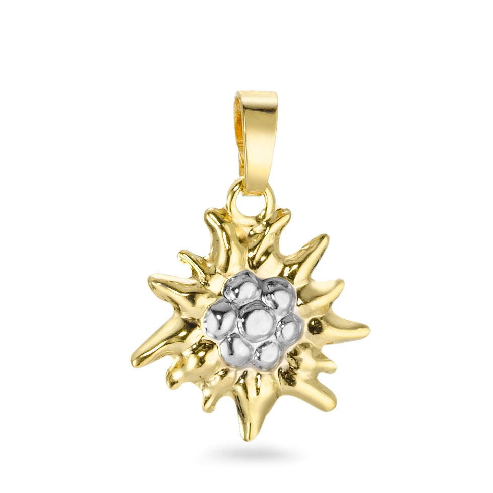 Pendentif Or jaune 9K Edelweiss Ø12 mm