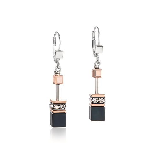 Pendant d'oreilles Acier inoxydable