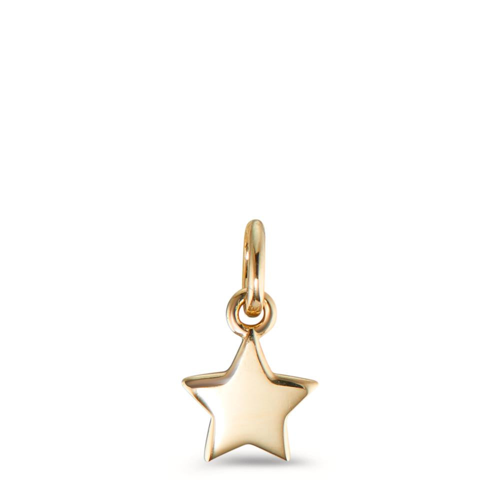 Pendentif Or jaune 9K Étoile Ø6 mm