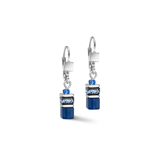 Pendant d'oreilles Acier inoxydable