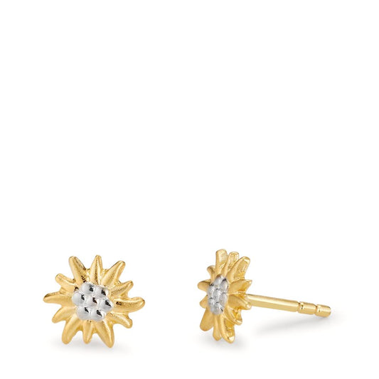 Clous d'oreilles Or jaune 18K Edelweiss Ø7 mm