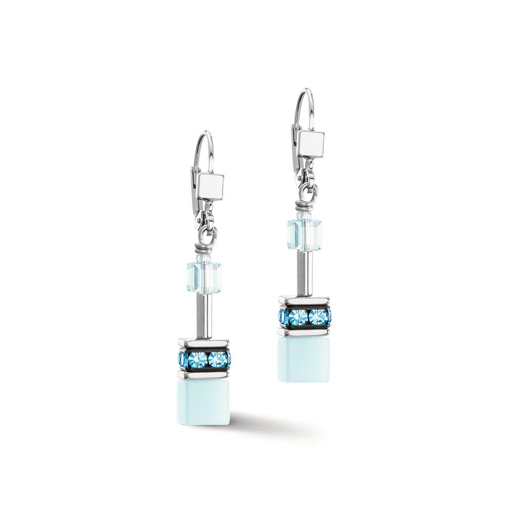 Pendant d'oreilles Acier inoxydable